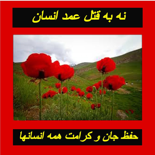 HBVA6wybcAYKdJ .jpg
