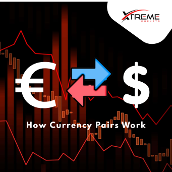 A Beginner’s Guide: How Does Forex Trading Work.png