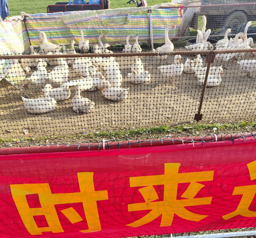 IMG 20260217 163537.jpg