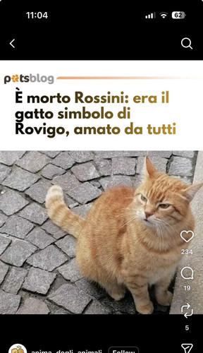 HBMOOyzaAAALtuu?format=jpg.jpg