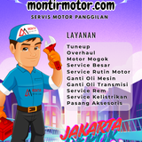 brosur mm6