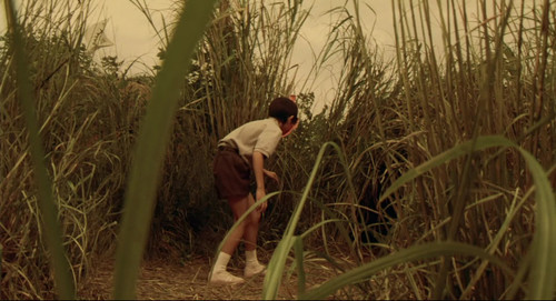 frame0.jpg