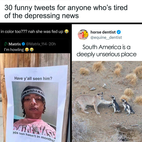 funny memes (1).1