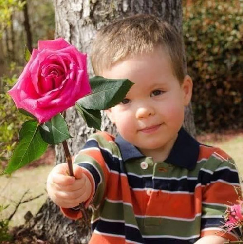 637442170 1594038498511231 4573755397313168525 n.jpg?stp=dst jpg s590x590 tt6& nc cat=105&ccb=1 7& n.jpg