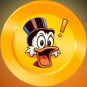 Photo_2026-02-15_16-23-38 (4).jpg