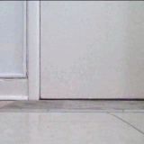 cat cat scared.3