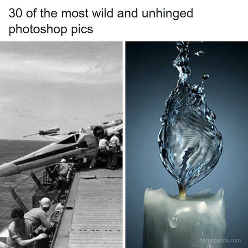 curiosities wholesome world.1