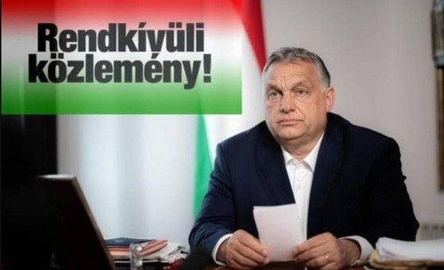 633929536 122150365880961664 1126310020819885003 n.jpg? nc cat=104&ccb=1 7& nc sid=127cfc& nc ohc=D1.jpg