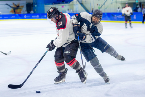 Hockey Body Check (1).png