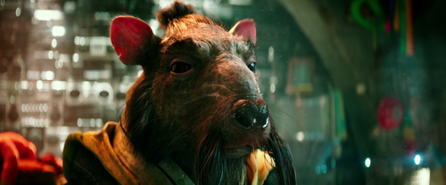 vlcsnap 2026 02 16 08h06m31s447.png