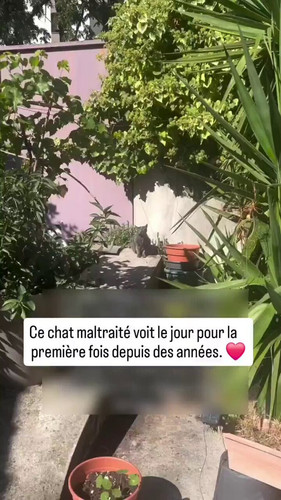 8 LyLWu 21pMluwQ.jpg