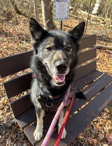 HBTWvaIaYAA2P 1?format=jpg.jpg