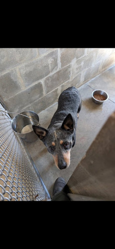 HA2bzhNXoAAE cZ?format=jpg.jpg