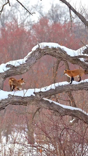 QBfSEvhQ9 iHKjK8.jpg