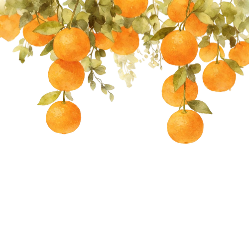 Image 1771239394036 363.png