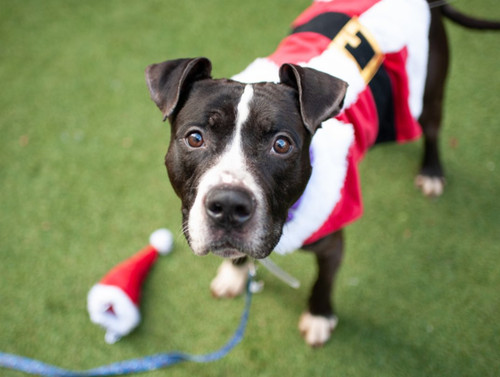 HBPuh HbQAAfo9E?format=jpg.jpg