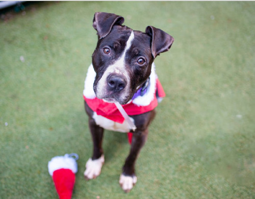 HBPukxbbUAAc 9j?format=jpg.jpg