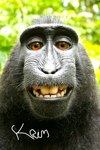 Immagine 2026 02 16 233300.png