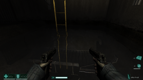 FEAR reflection.png