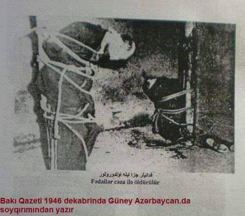 HBOSBg0bQAAp77t.jpg