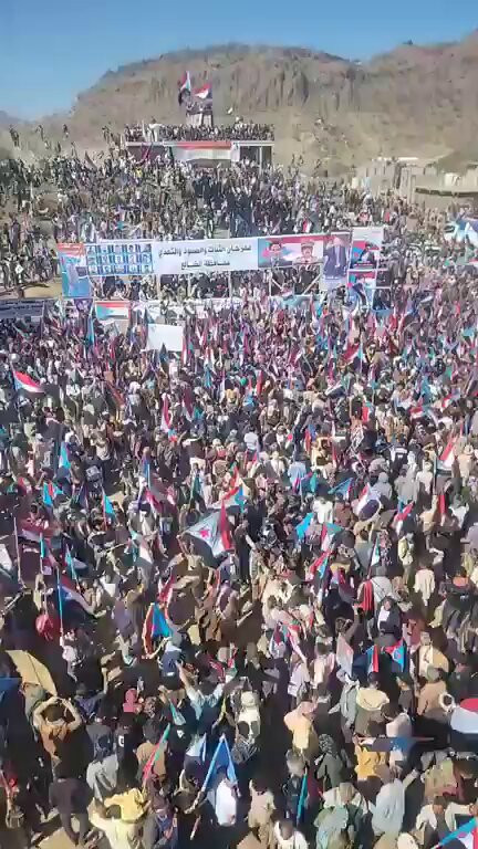 lNSDc7 r0XvDydPX.jpg