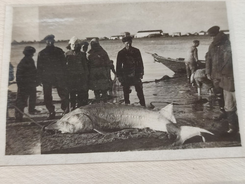 IMG 20260216 164639.jpg