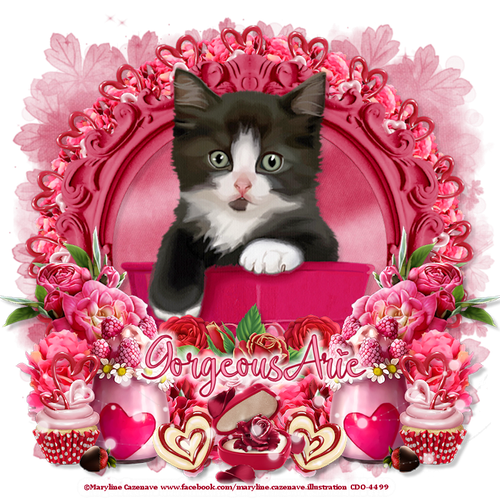 GiftofLoveCatGorgeousArie vi