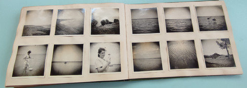 IMG 20260216 164700.jpg