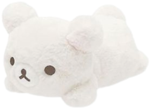 IMG 4842.png