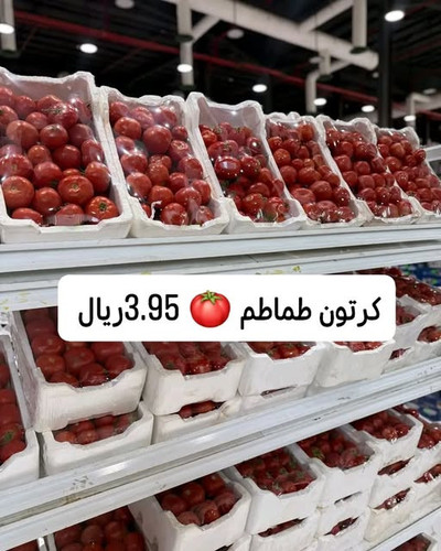 635697288 950985020792936 871539033933793642 n.jpg?stp=dst jpg s640x640 tt6& nc cat=101&ccb=1 7& nc .jpg