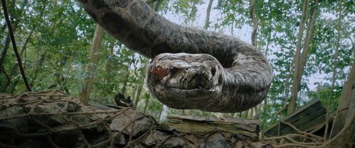 vlcsnap 2026 02 16 12h26m13s456.png