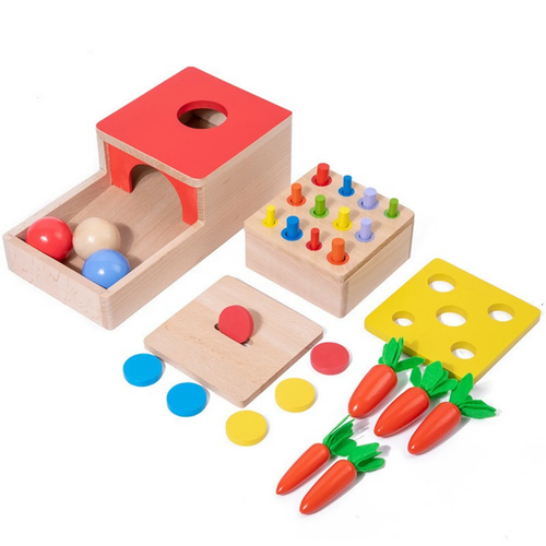 Montessori 4 in 1 Early Learning Development Set.png