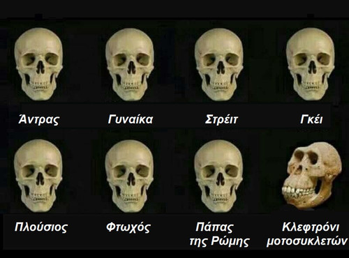 498185374 707406011805156 8824697052561451168 n.jpg