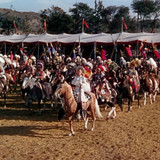 La reina del oeste a (4)