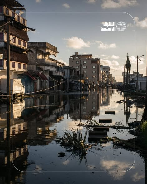 635021095 1336953481807343 298019367616518549 n.jpg?stp=dst jpg s590x590 tt6& nc cat=101&ccb=1 7& nc.jpg