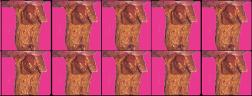 GodUniverseAnimalsCollege.png
