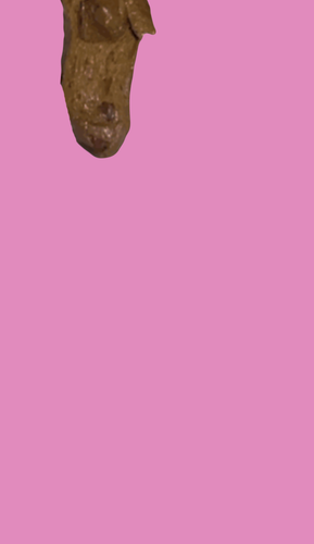 GodUniverseAnimalsCollege.png