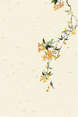 Image 1771304323846 95.jpg