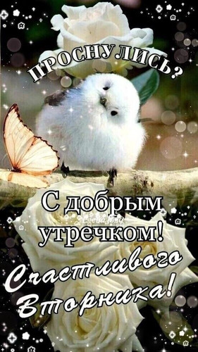 HBVlZZKXMAAj4nh.jpg