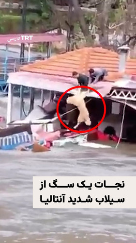 HBSqZnsW4AAKRCa.jpg