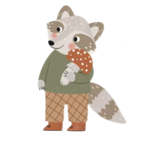 raccoon.png