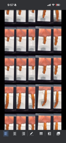 GodUniverseAnimalsCollege.png