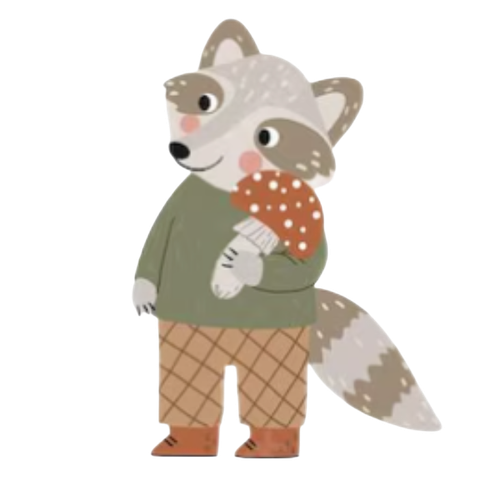 raccoon.png