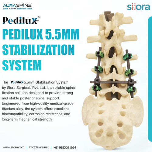 Pedilux 5.5mm Stabilization System.jpg