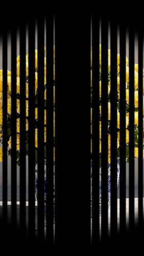 hAUk0f4B V694bAU.jpg