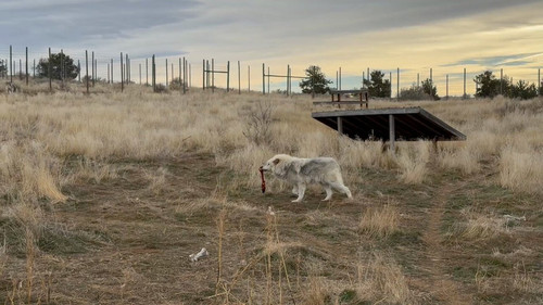 RIcAjpr QGCJkcon.jpg