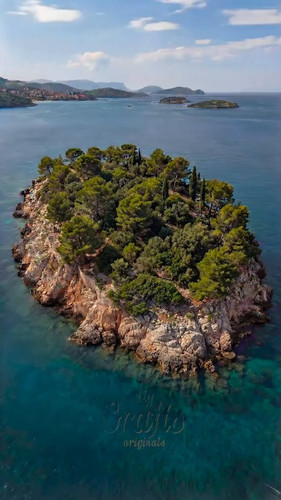 7ZHu yy8QJAjlXo1.jpg