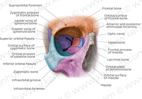 cd19743b831f.png