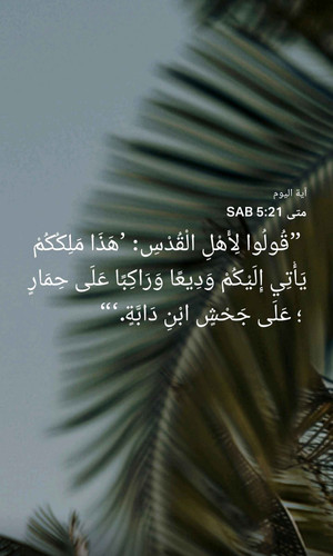 892ce1c8702b.jpg
