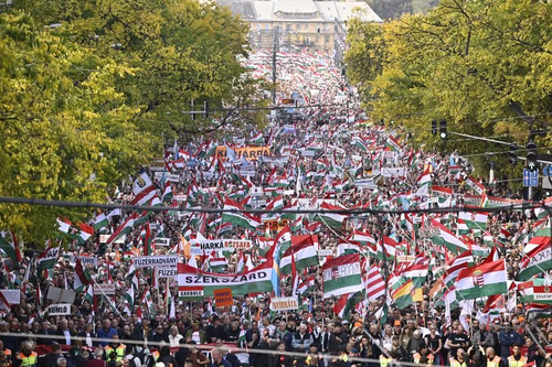 638500770 1431747278344185 6723028333896429348 n.jpg?stp=dst jpg p180x540 tt6& nc cat=108&ccb=1 7& n.jpg